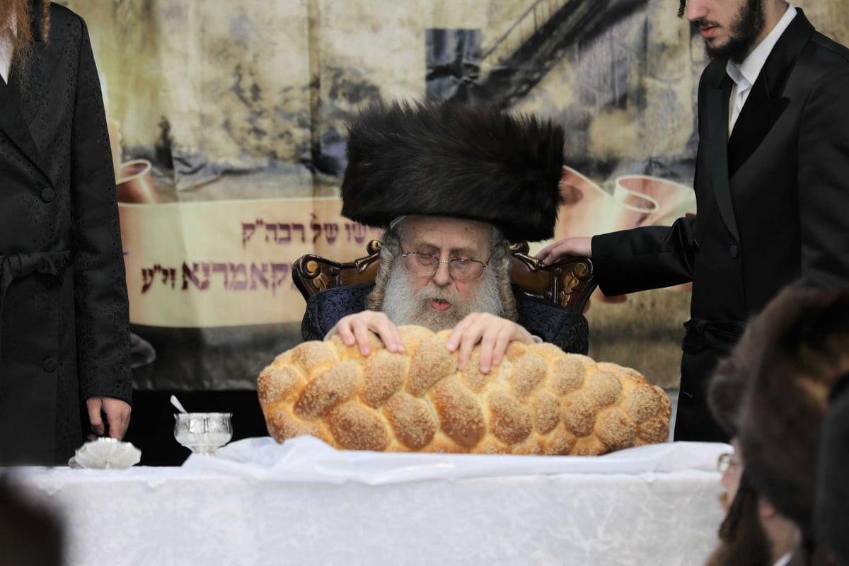 שמחת בית השואבה בחסידות קאמרנא