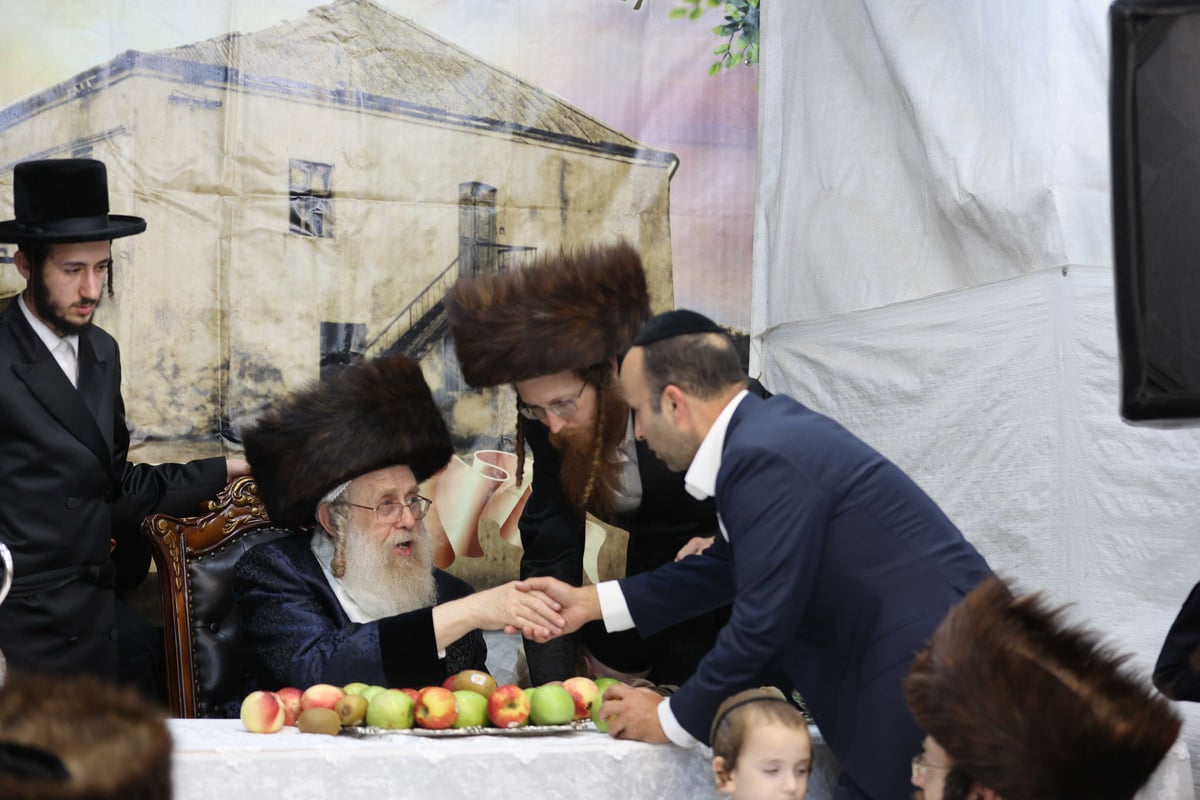 שמחת בית השואבה בחסידות קאמרנא