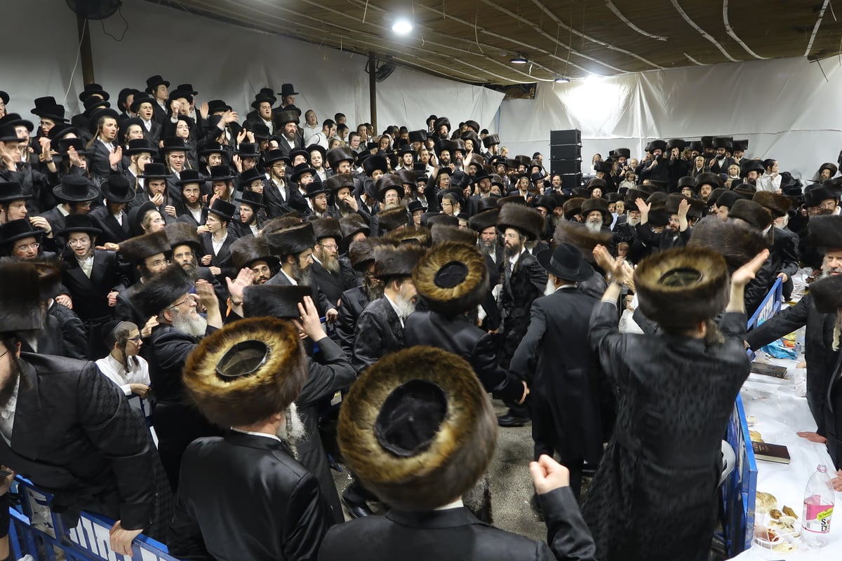 באבוקות של אש: שמחת בית השואבה בחסידות זוועהיל