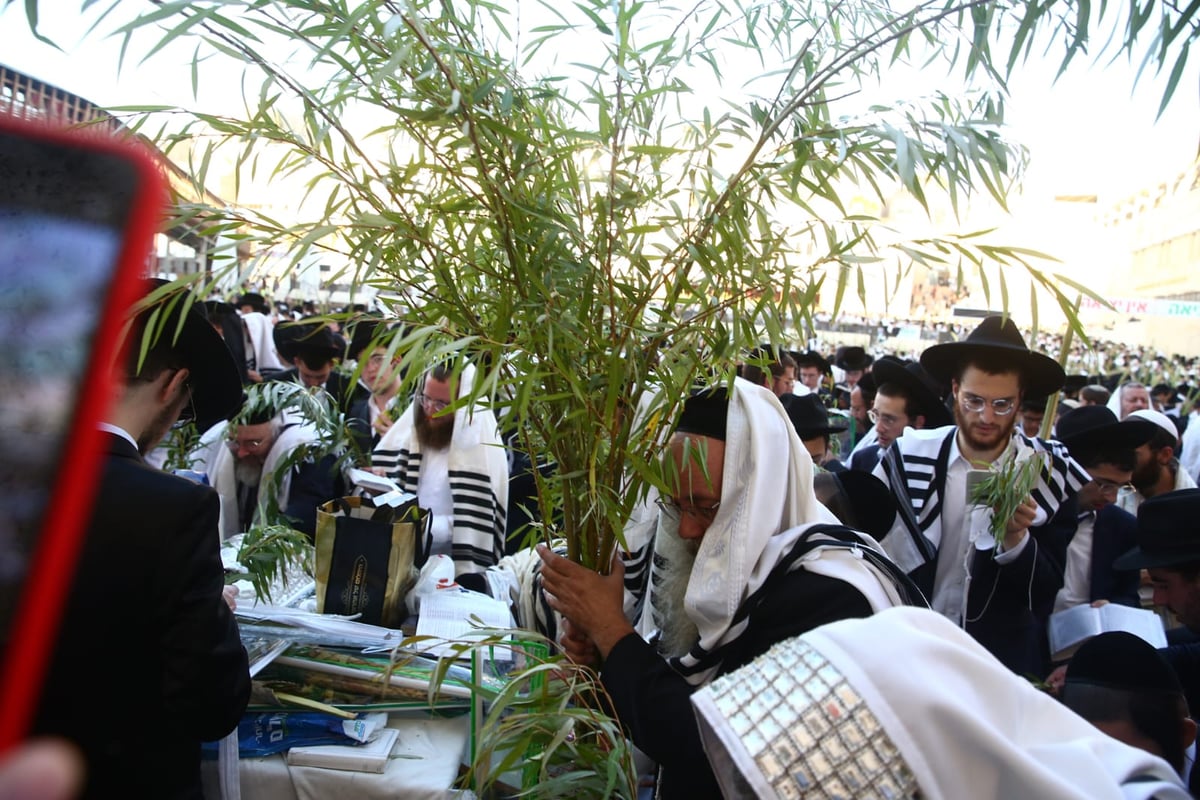 אלפים בליל הושענא רבא ברחבת הכותל המערבי