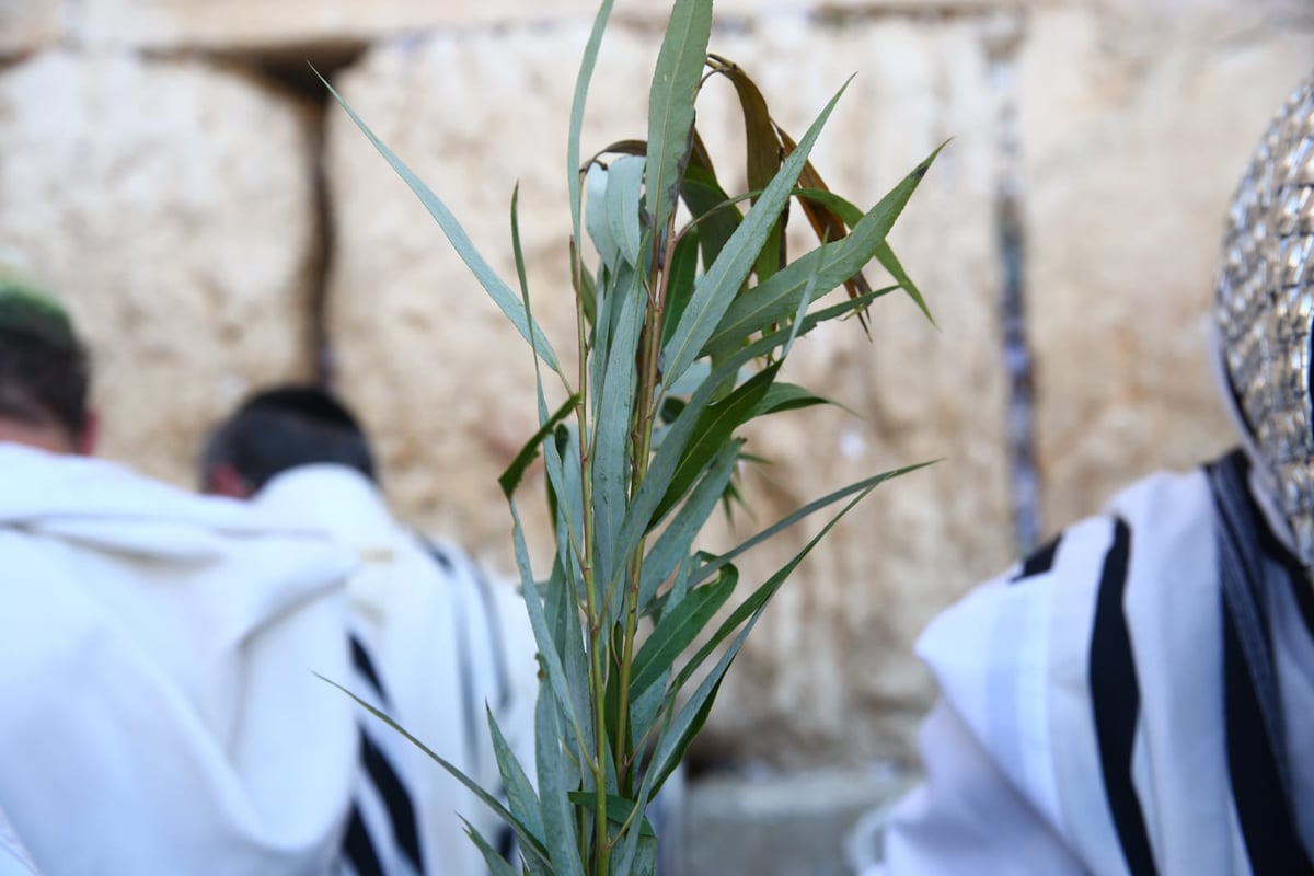 אלפים בליל הושענא רבא ברחבת הכותל המערבי