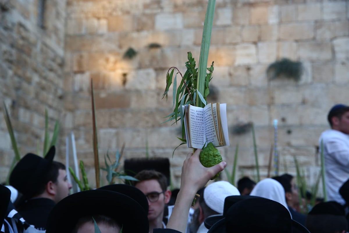 אלפים בליל הושענא רבא ברחבת הכותל המערבי