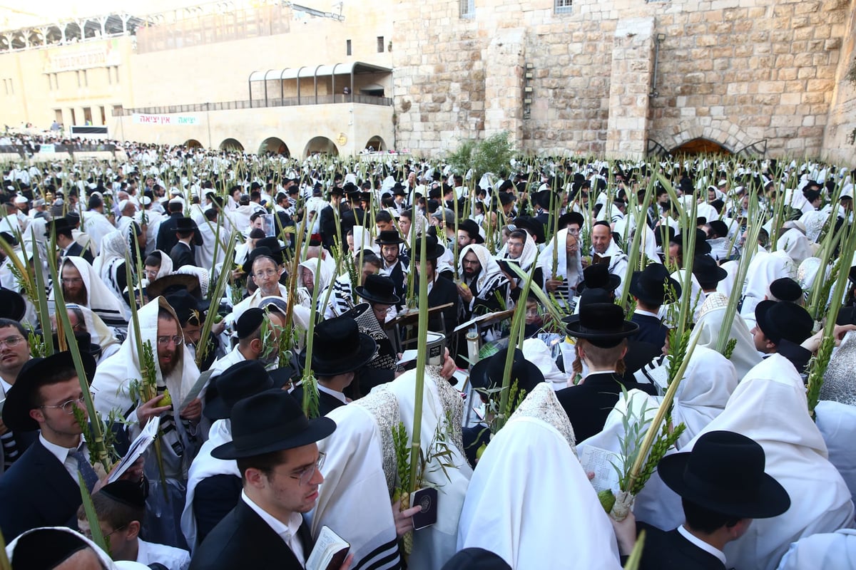 אלפים בליל הושענא רבא ברחבת הכותל המערבי