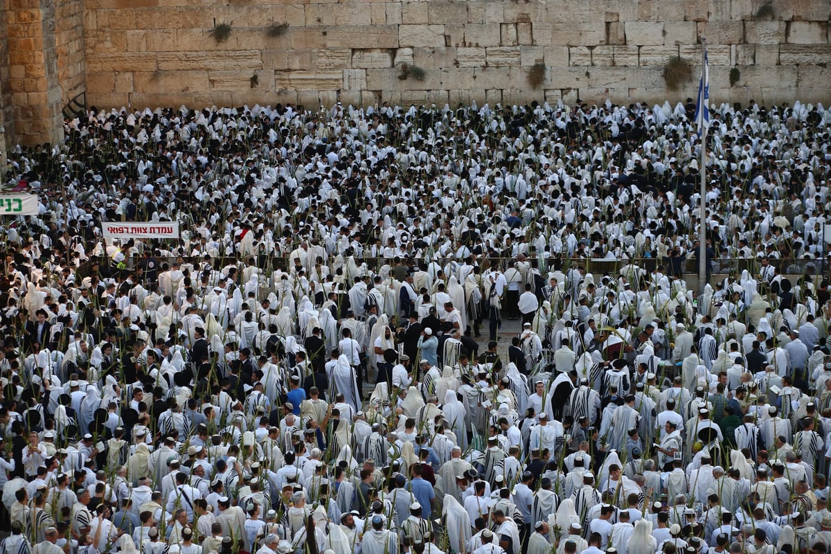 אלפים בליל הושענא רבא ברחבת הכותל המערבי