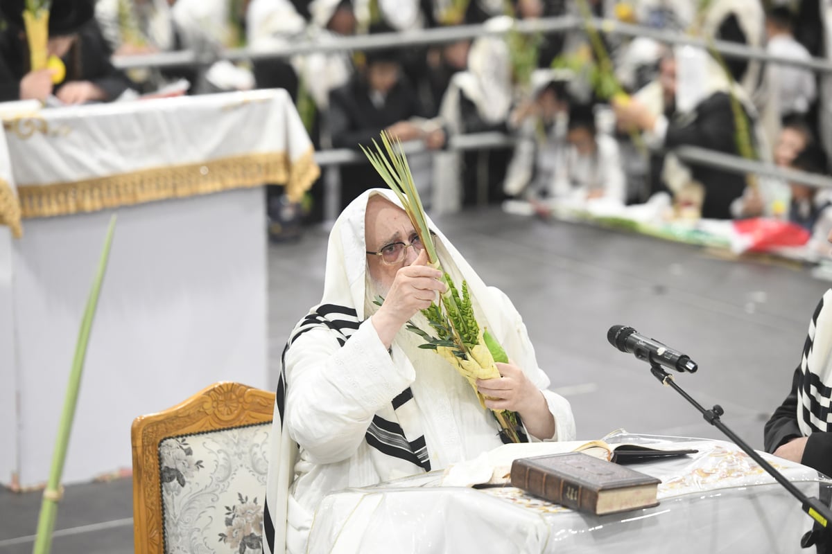 'העפיל טיש': הושענא רבה ושמחת תורה בצאנז