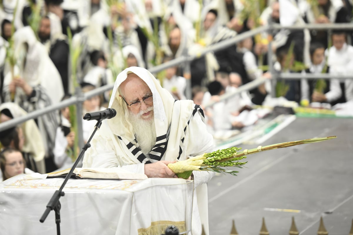 'העפיל טיש': הושענא רבה ושמחת תורה בצאנז