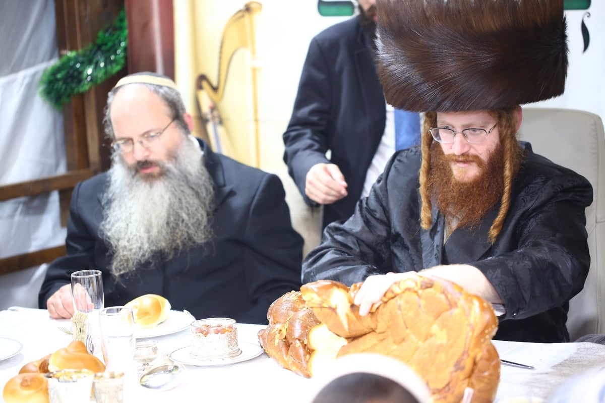 חג הסוכות בקאליב: שמחת בית השואבה בשומרון