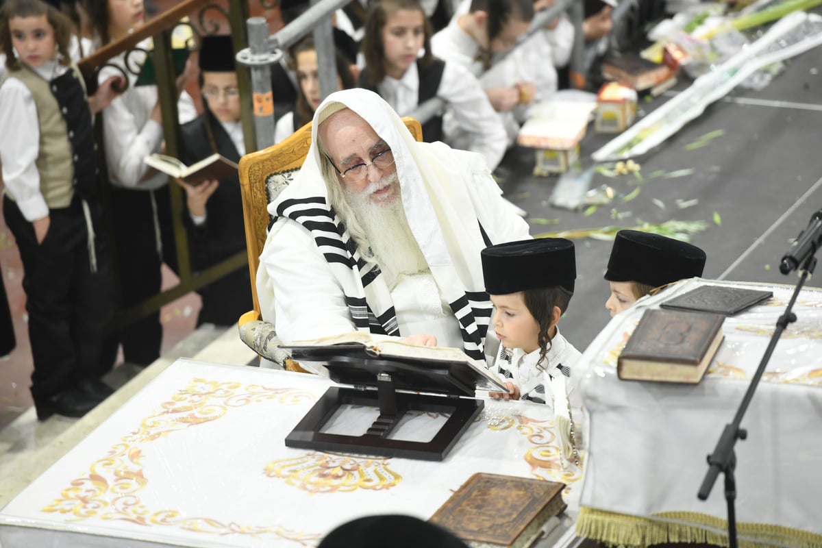 'העפיל טיש': הושענא רבה ושמחת תורה בצאנז