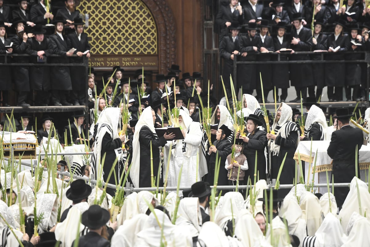 'העפיל טיש': הושענא רבה ושמחת תורה בצאנז