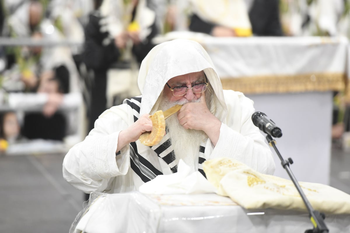 'העפיל טיש': הושענא רבה ושמחת תורה בצאנז