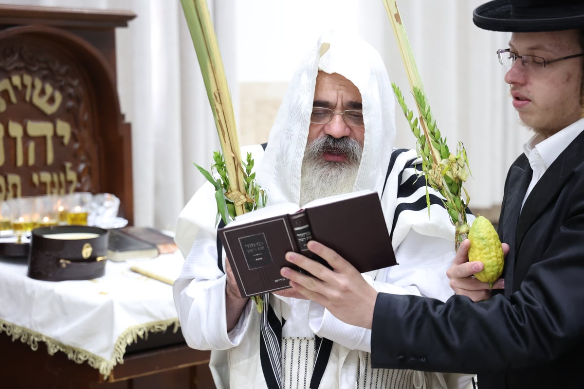 מראות חג הסוכות בלעלוב ירושלים | תיעוד