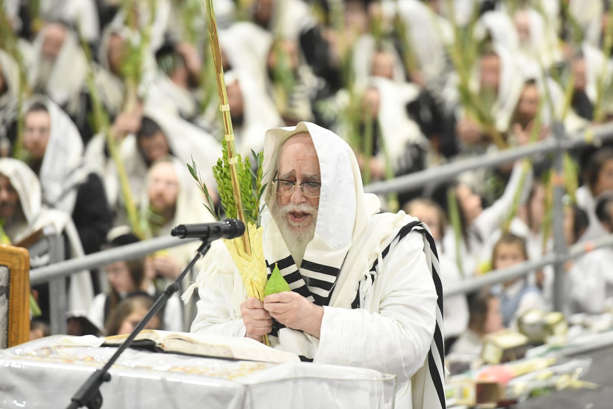 'העפיל טיש': הושענא רבה ושמחת תורה בצאנז