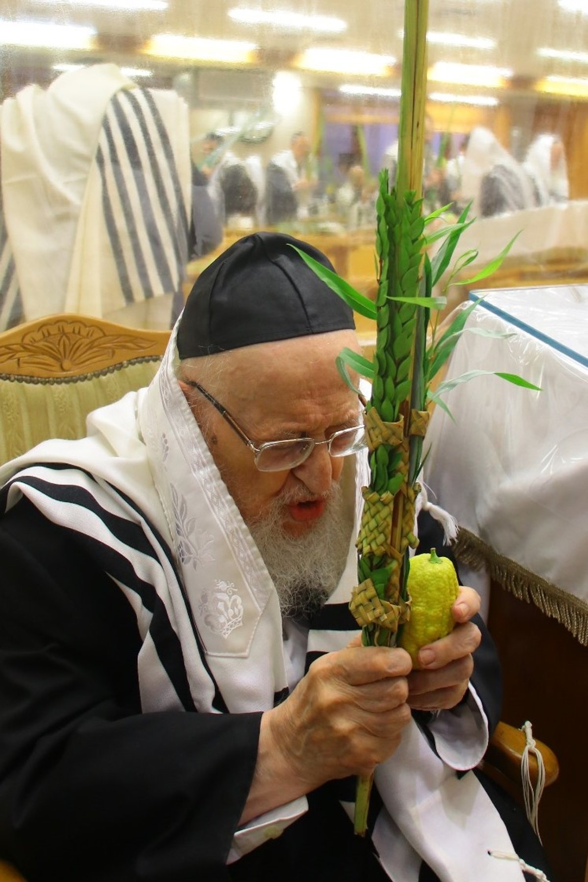 חג הסוכות במחיצתו של חבר המועצת הוותיק | תיעוד נרחב