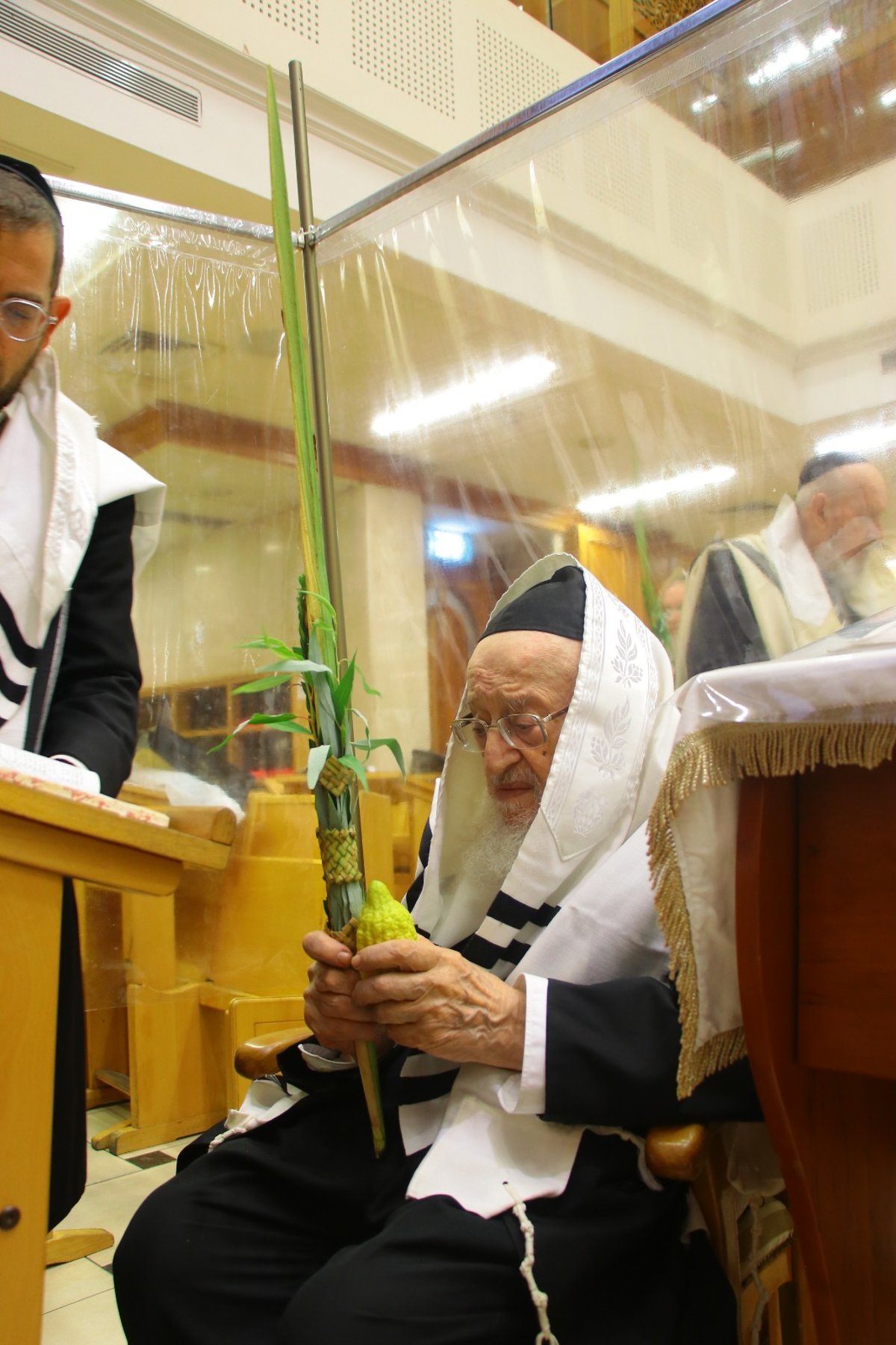 חג הסוכות במחיצתו של חבר המועצת הוותיק | תיעוד נרחב