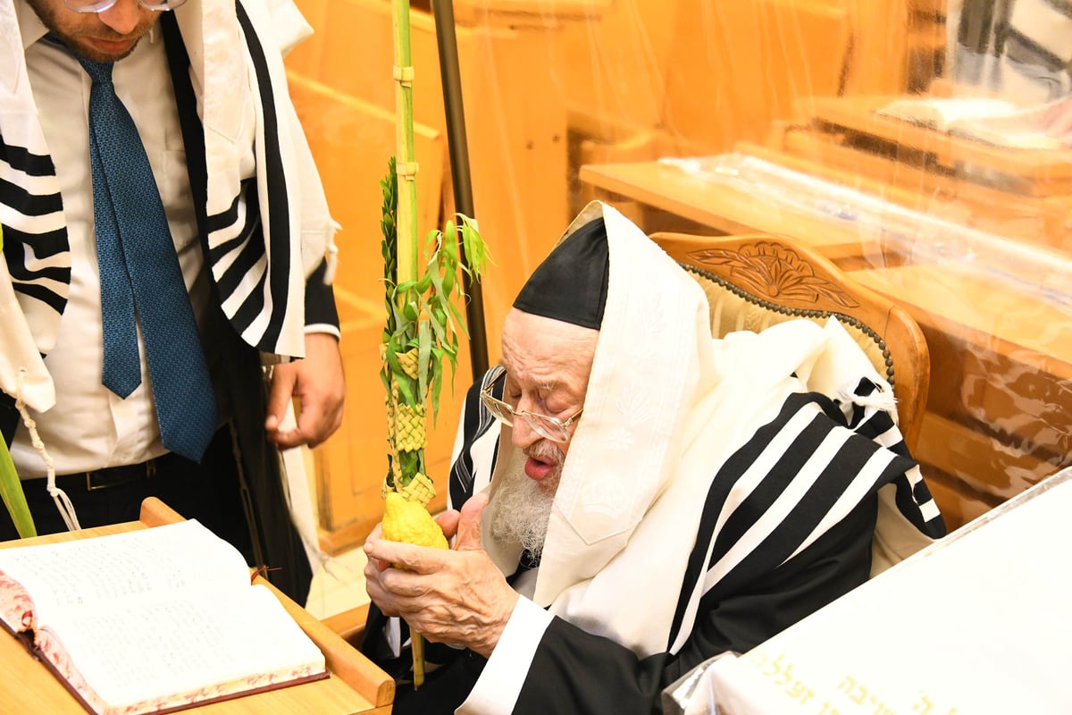 חג הסוכות במחיצתו של חבר המועצת הוותיק | תיעוד נרחב