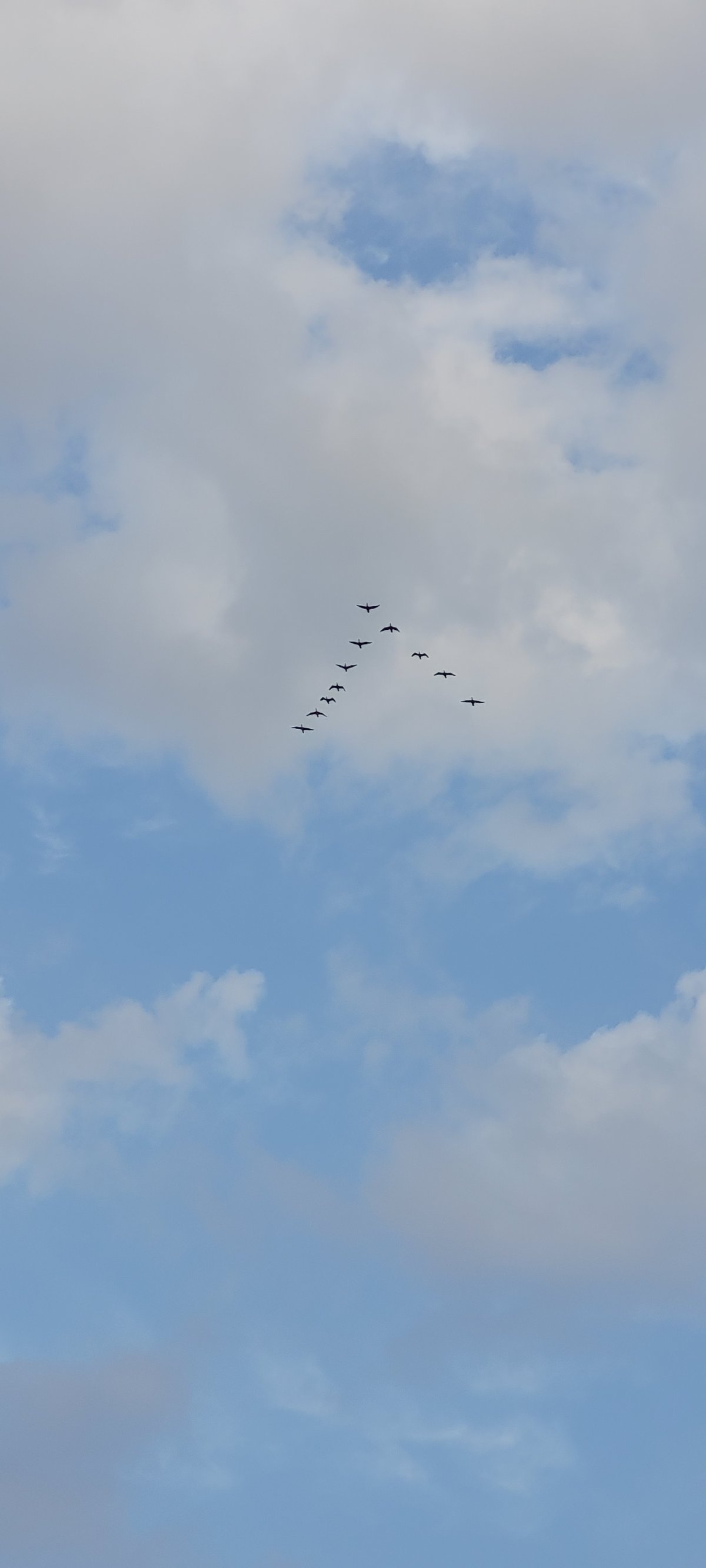 טיול דרך עדשת המצלמה לאגמון החולה הקסום