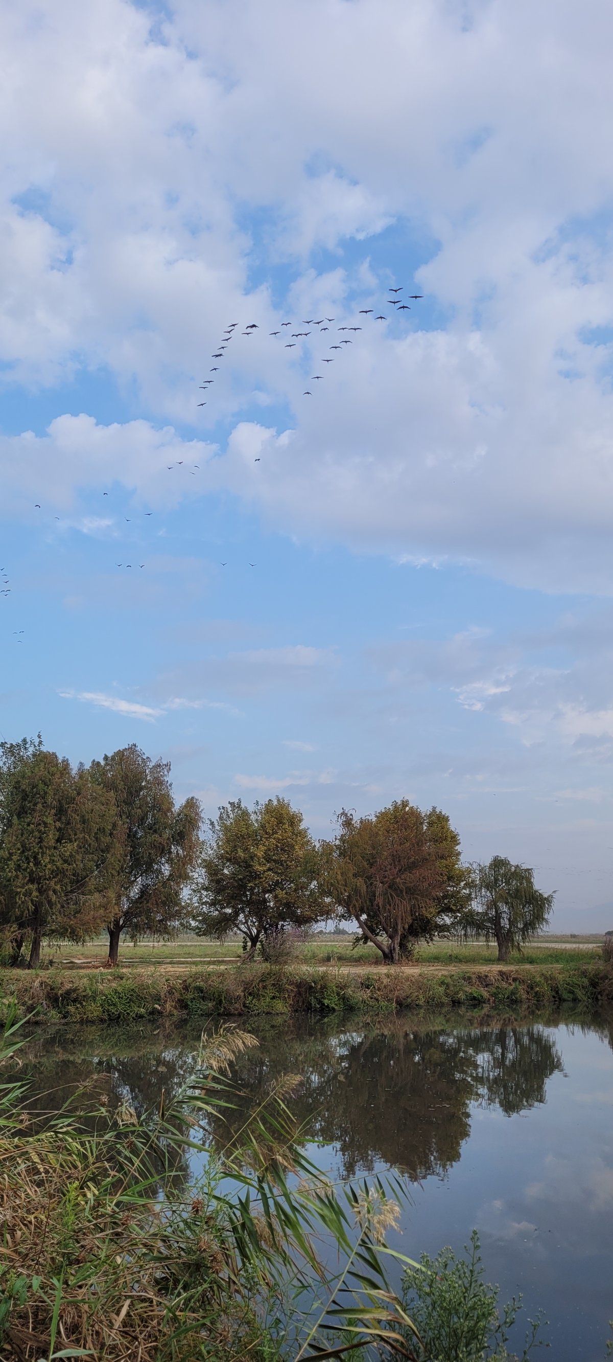 טיול דרך עדשת המצלמה לאגמון החולה הקסום