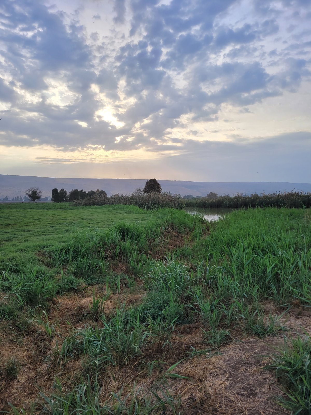 טיול דרך עדשת המצלמה לאגמון החולה הקסום