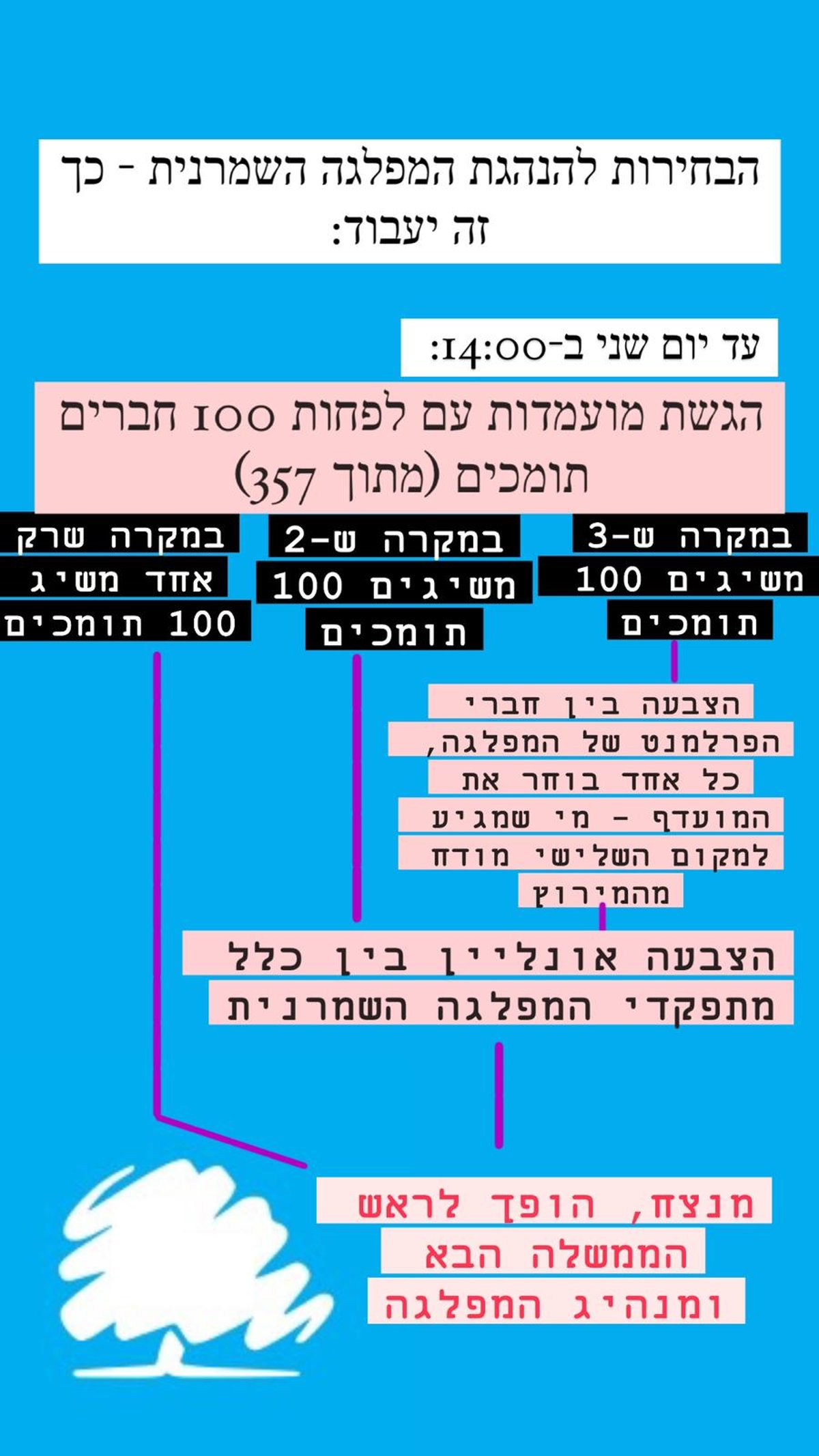 תהליך הבחירה - כך זה יעבוד