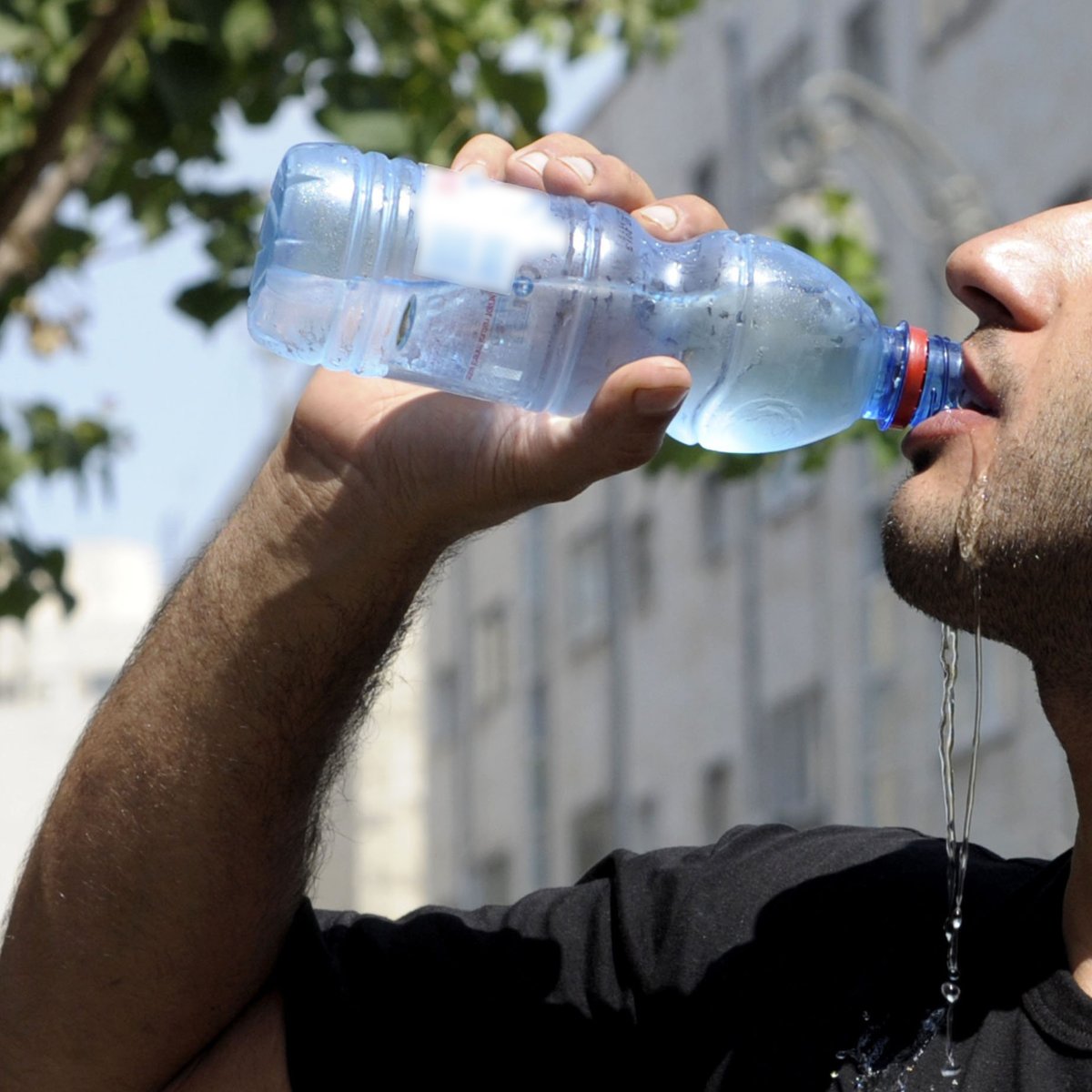 גם אם זה בחינם: 10 סיבות להימנע משתיה מתוקה