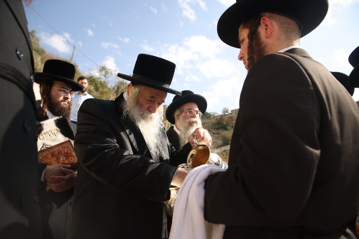 הרבי מטשרנוביל ארה"ב בביקור בצפת ובמירון