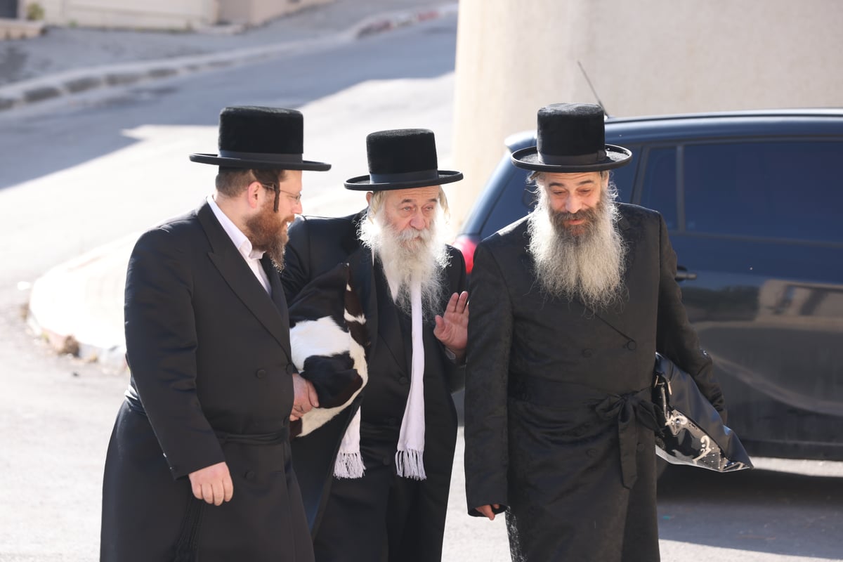 הרבי מטשרנוביל ארה"ב בביקור בצפת ובמירון