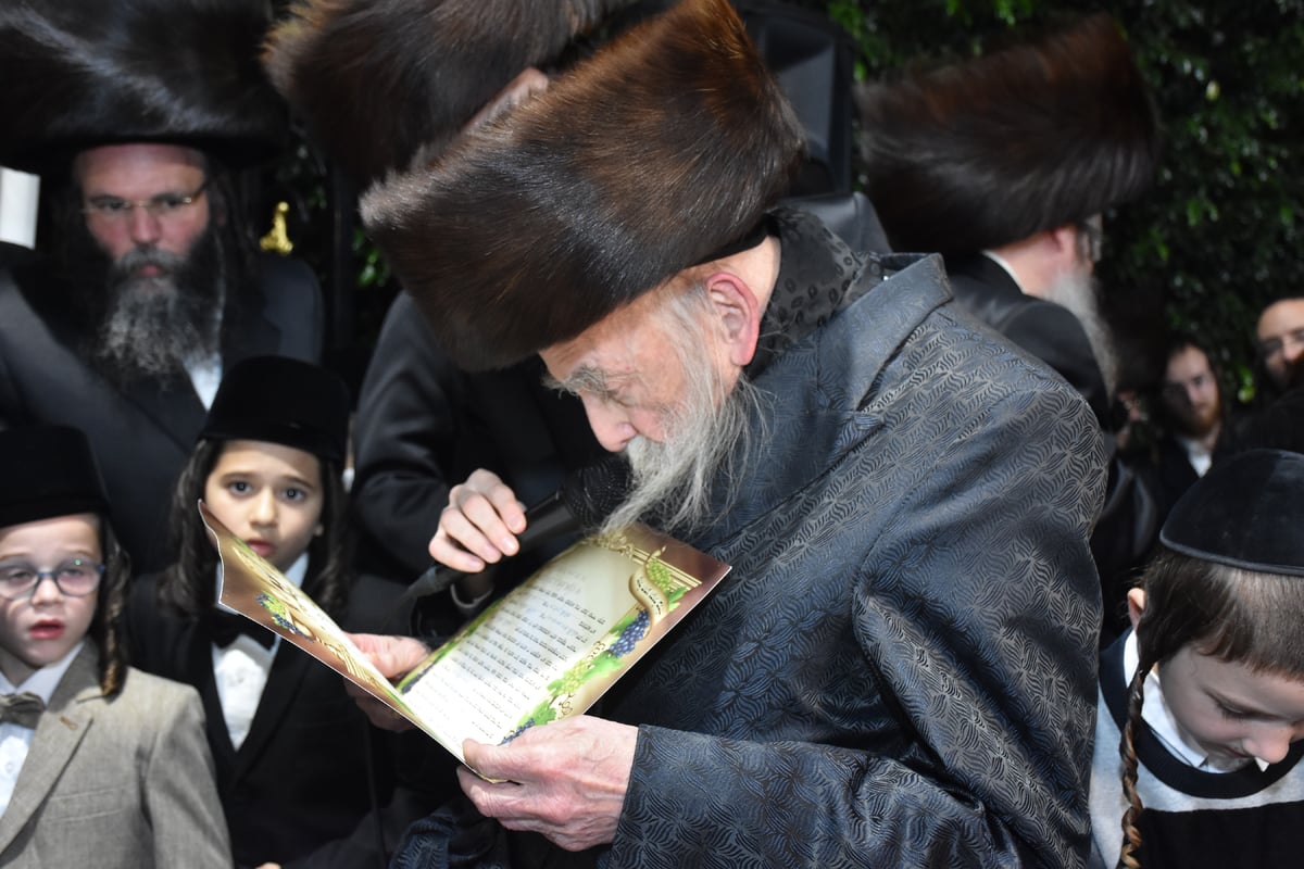 חתונת נכדת האדמו"ר והגאב"ד עם בן הראש כולל