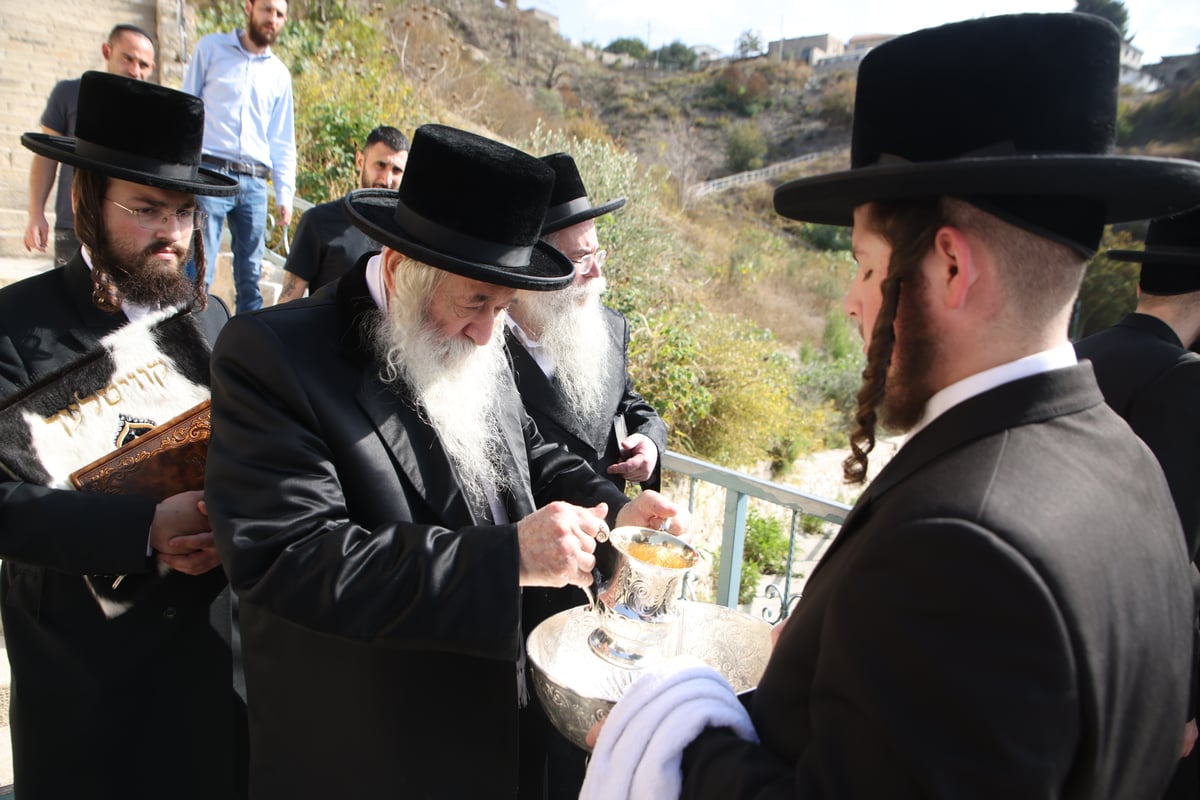 הרבי מטשרנוביל ארה"ב בביקור בצפת ובמירון