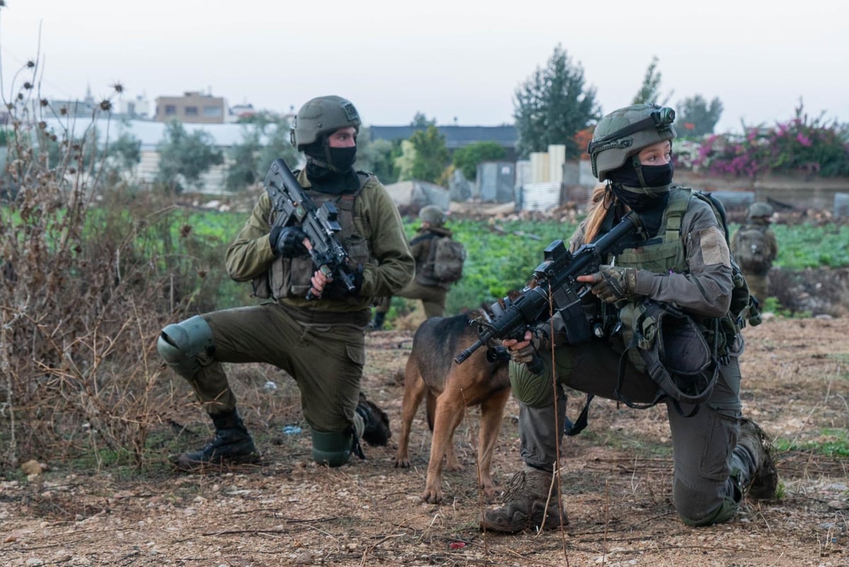 תוך כדי ירי: הלוחמים עצרו 13 מבוקשים ביו"ש | תיעוד