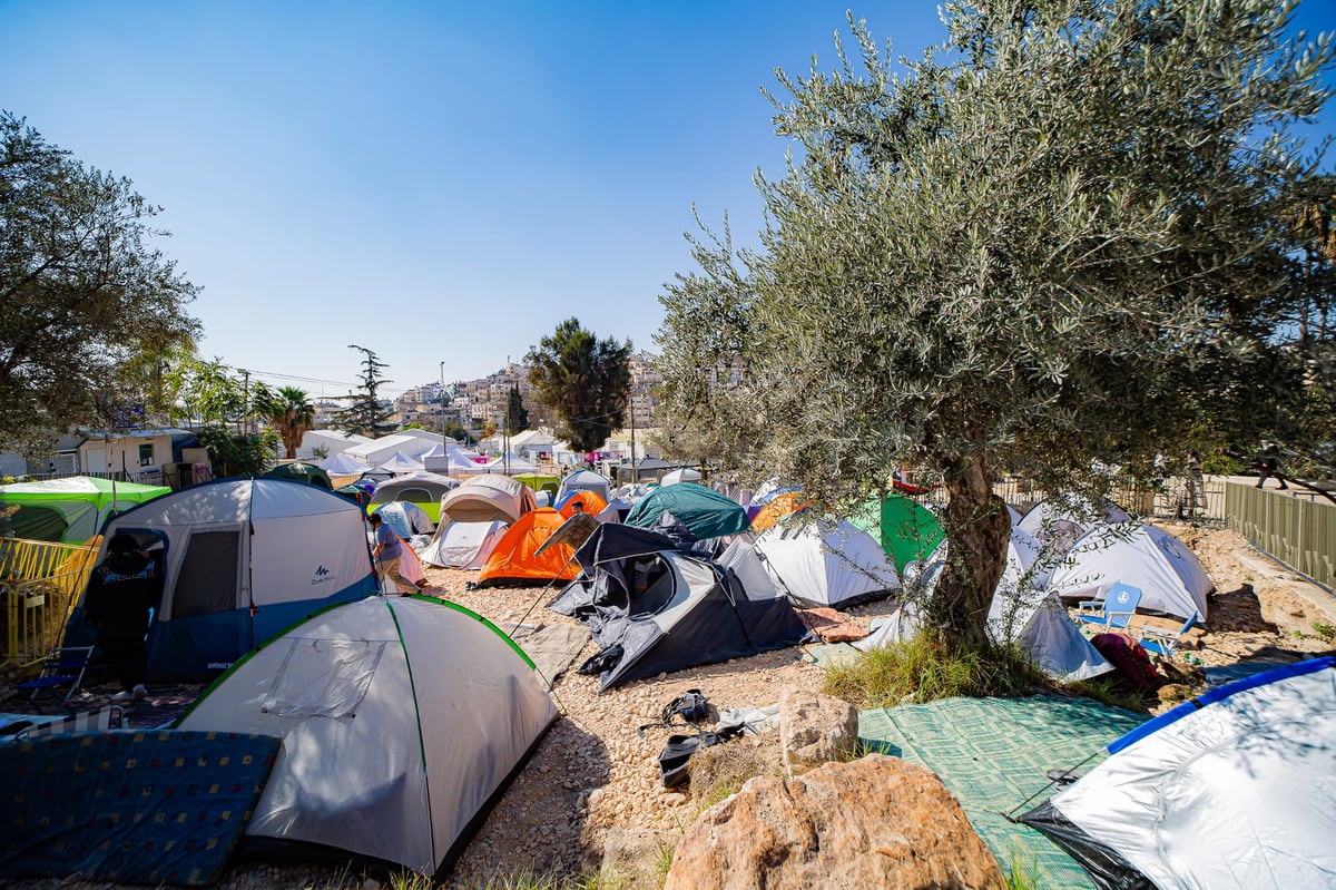 שבת חברון: האלפים זורמים לעיר לשהות במערת המכפלה