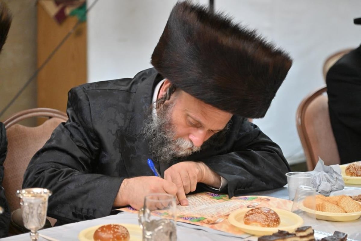 שמחת התנאים לנכדת האדמו"ר ממישקולץ