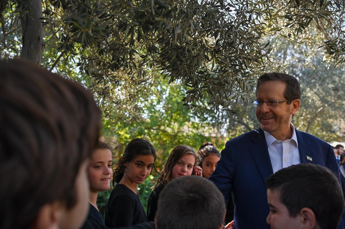 בגינת בית הנשיא: הרצוג מסק עצי זיתים עם תלמידים צעירים