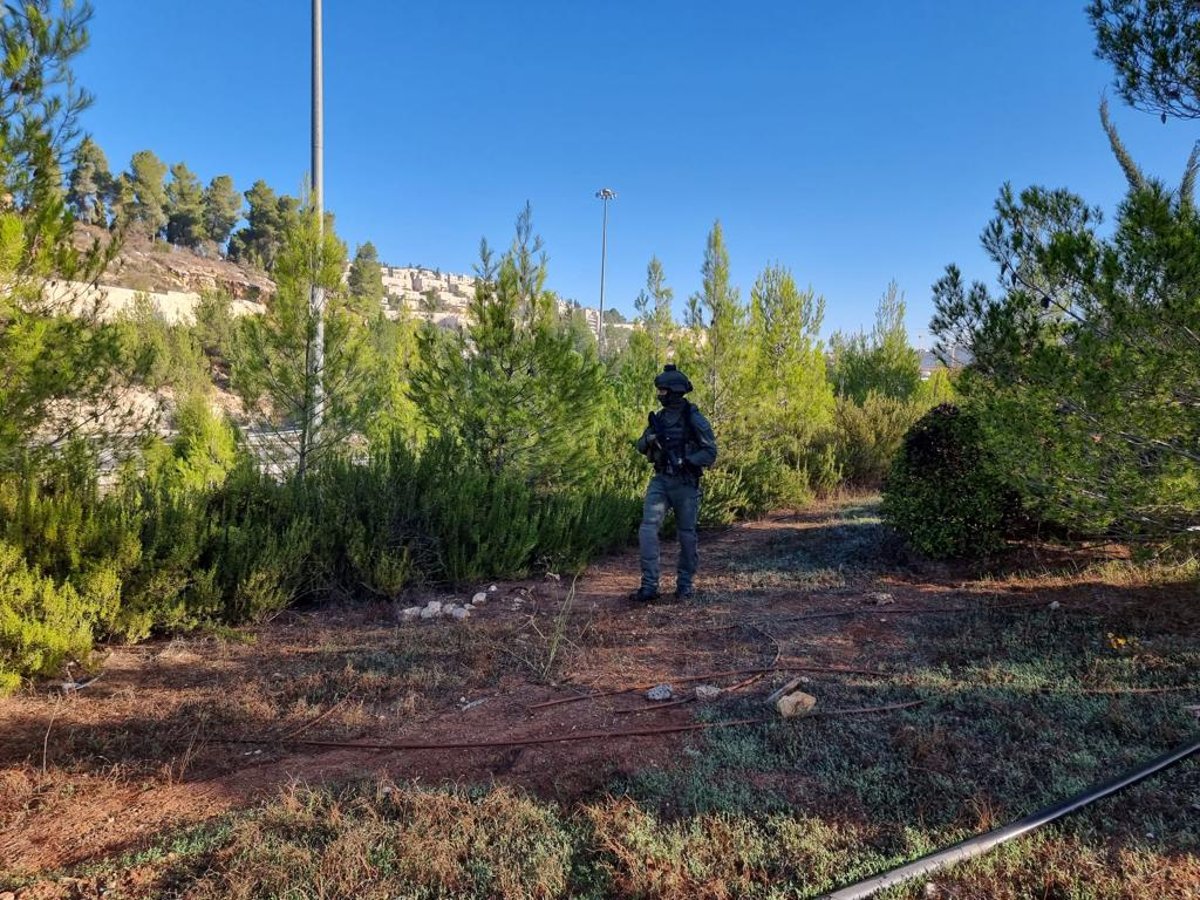 תיעוד: כוחות המשטרה ומג"ב סורקים אחרי המחבל