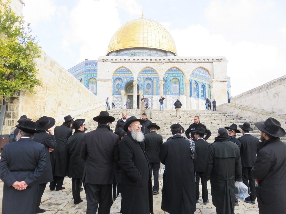 החרדי שעולה להר הבית וחושב על חידוש הקורבנות ובנין בית המקדש • ריאיון