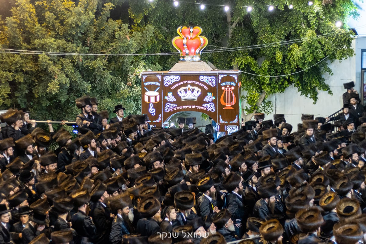 אלפים על הפארנצע'ס • שמחת חתונת סערט ויז'ניץ, ויז'ניץ ואונגוואר