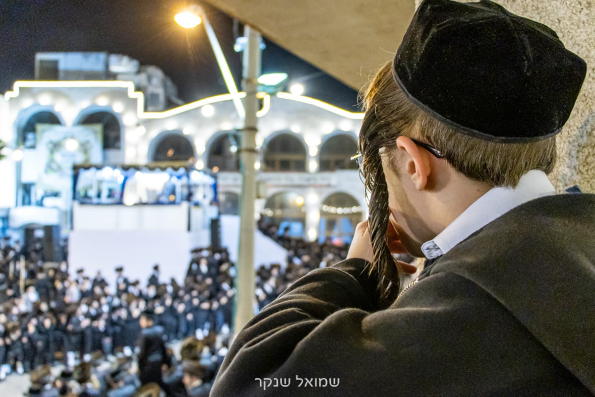 אלפים על הפארנצע'ס • שמחת חתונת סערט ויז'ניץ, ויז'ניץ ואונגוואר