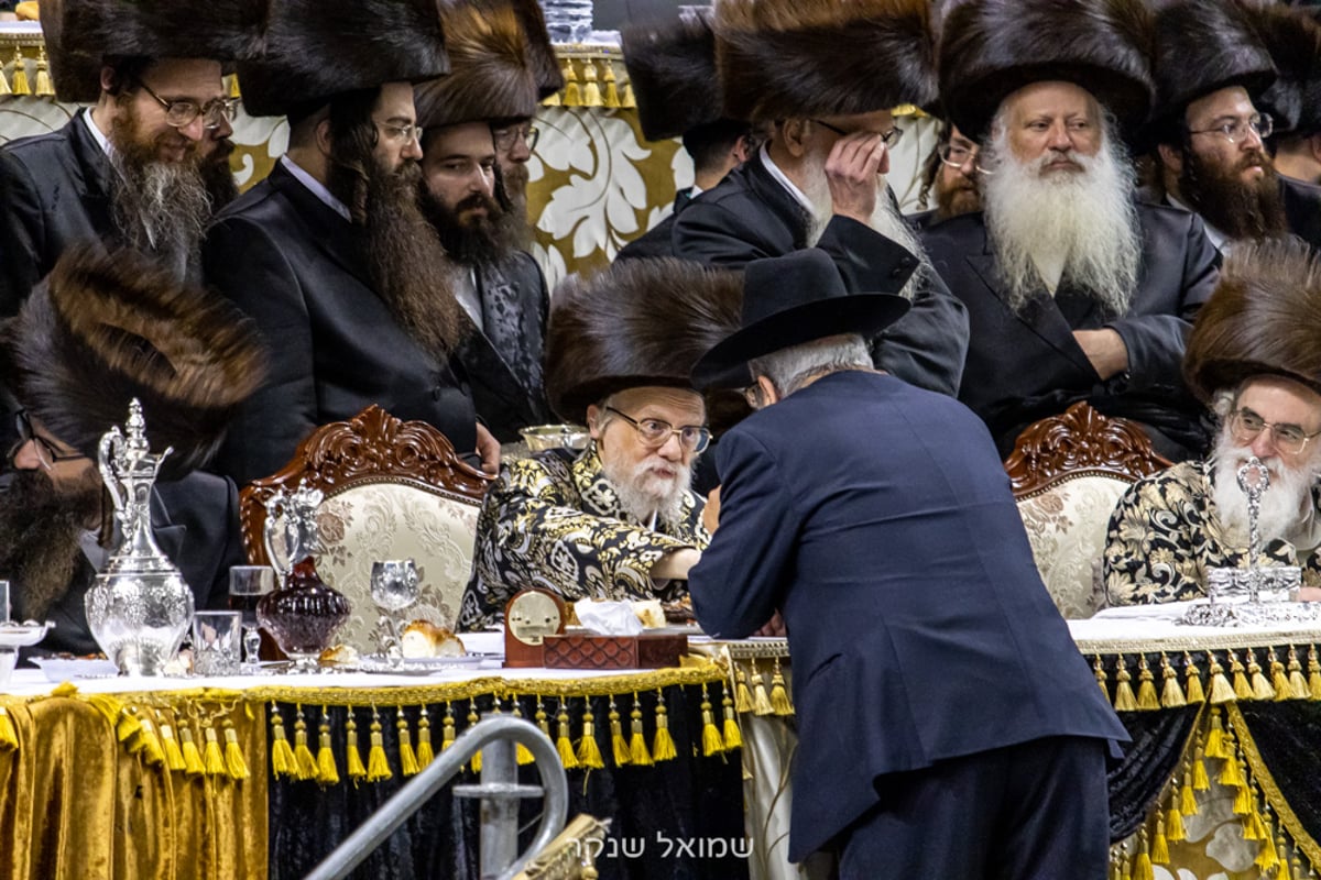 אלפים על הפארנצע'ס • שמחת חתונת סערט ויז'ניץ, ויז'ניץ ואונגוואר