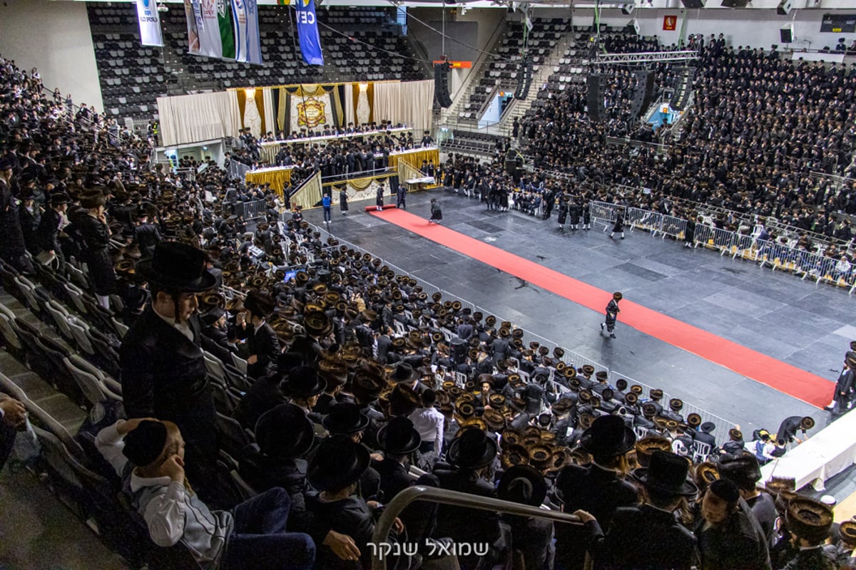 אלפים על הפארנצע'ס • שמחת חתונת סערט ויז'ניץ, ויז'ניץ ואונגוואר