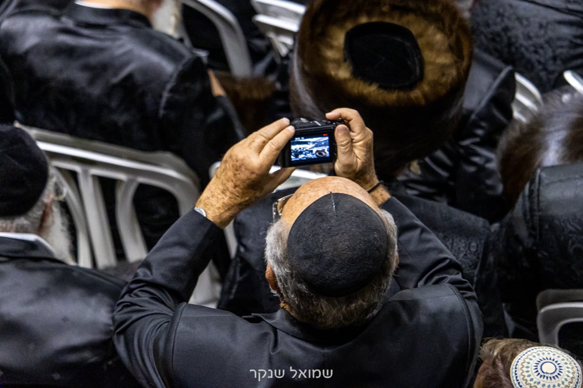 אלפים על הפארנצע'ס • שמחת חתונת סערט ויז'ניץ, ויז'ניץ ואונגוואר