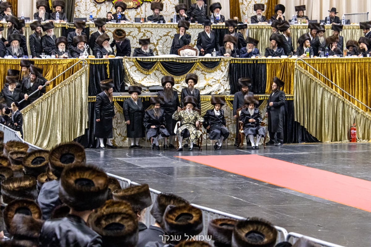 אלפים על הפארנצע'ס • שמחת חתונת סערט ויז'ניץ, ויז'ניץ ואונגוואר