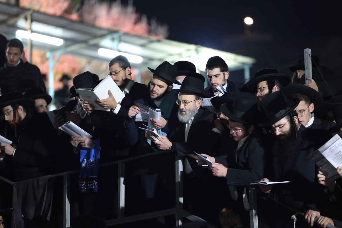 גלריה: המונים בהילולת ה'בת עין' זיע"א בצפת