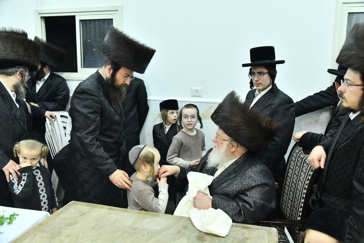 האדמו"ר מסאסוב שבת בבני ברק | תיעוד מסכם