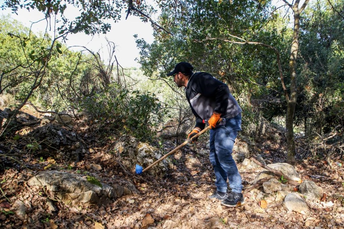 צפו: חידוש החיפושים אחר קליינרמן בעקבות המידע החדש