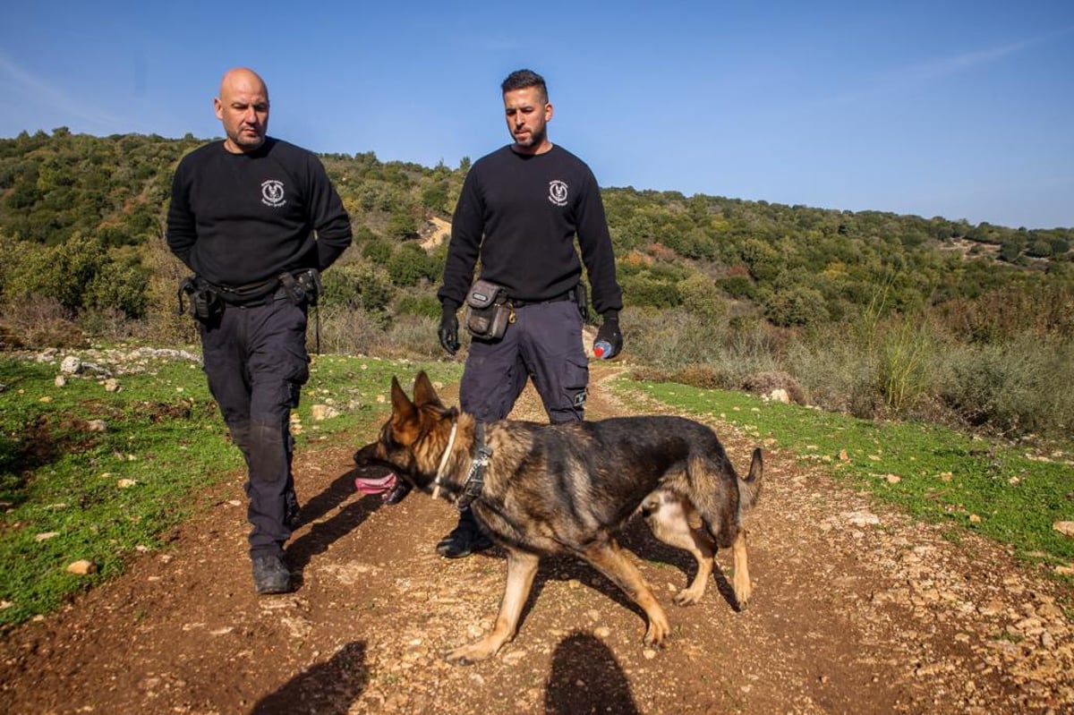 צפו: חידוש החיפושים אחר קליינרמן בעקבות המידע החדש