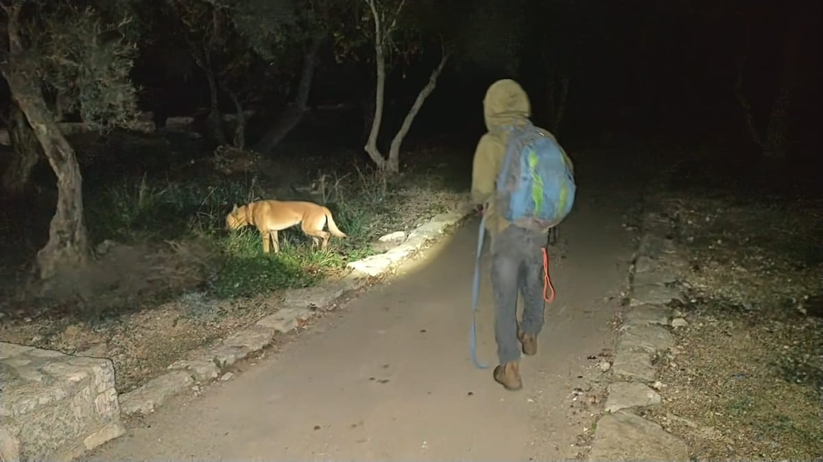 חיפושים אחר נעדר. אילוסטרציה