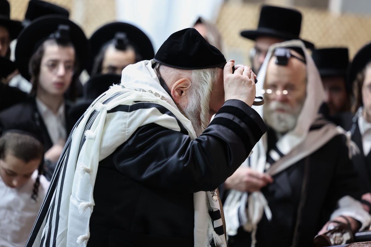 תיעוד מסכם של ביקור האדמו"ר מבאבוב בישראל