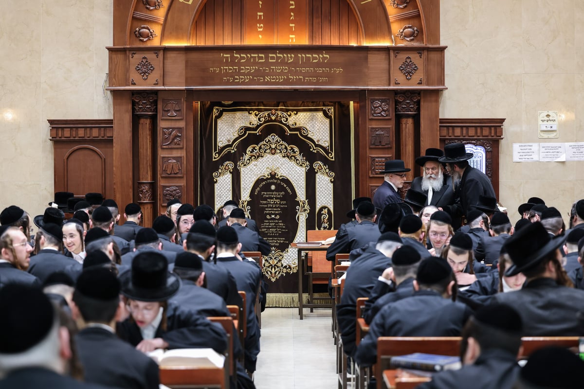 תיעוד מסכם של ביקור האדמו"ר מבאבוב בישראל