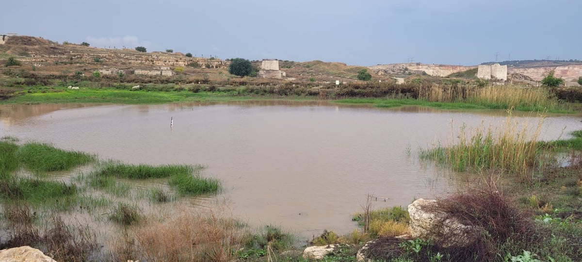 בריכות החורף התמלאו בגן הלאומי מגדל צדק