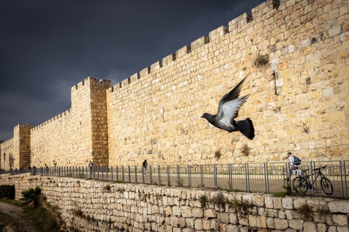 מתי יוצא הצום?  זמני עשרה בטבת תשפ"ג