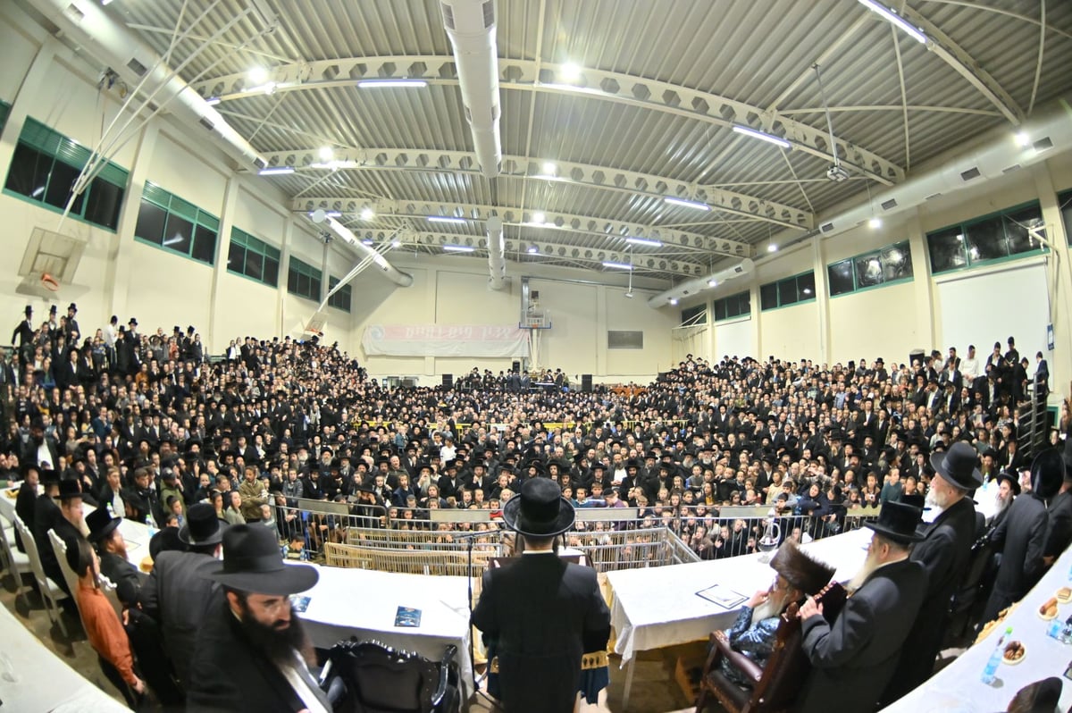 מעמד פטר חמור ברובע החרדי בראשות הרבי ממעליץ | צפו